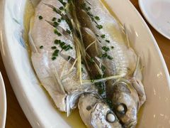 清蒸白鱼-品鲜村农家菜·阳澄湖大闸蟹(总店)