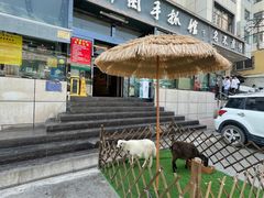 -清真·益鑫羊肉手抓馆(花园北街店)