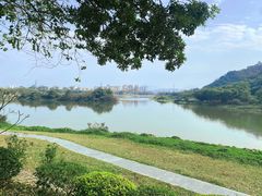 -风云岭森林公园