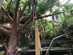 -长江文明馆