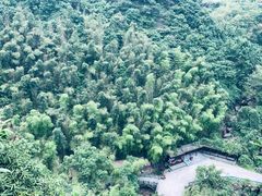 -宁波五龙潭景区