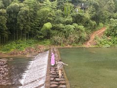 -石舍洒秀咖啡馆