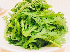 生拌茼蒿-顺风海鲜港(长寿路店)