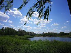 -永定河休闲森林公园