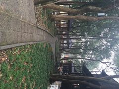 iphone_upload_pic-黄公望隐居地