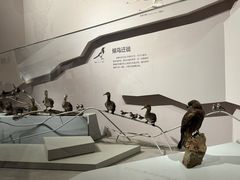 -武汉园博园(武汉自然博物馆)