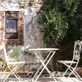 库存咖☕️和16岁“苏菲”，晒太阳、叹咖啡、聊人生