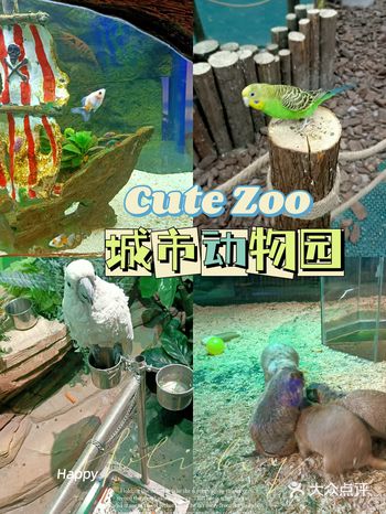 这家室内动物园位于民乐园万达商场负一楼，之前带外甥去