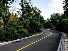 -上海崇明金茂凯悦酒店