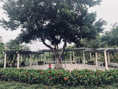 -广州雕塑公园