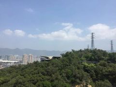 -金鸡山公园