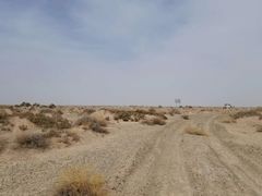 -党河风情线国家水利风景区