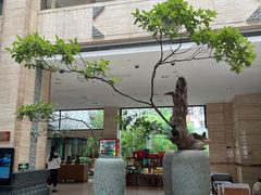 -九华山聚龙大酒店