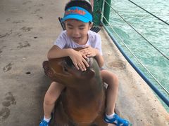 -亚龙湾海底世界
