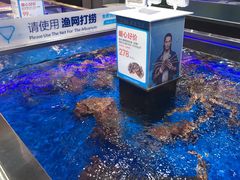 -盒马X会员店(王府井奥莱UP TOWN店)