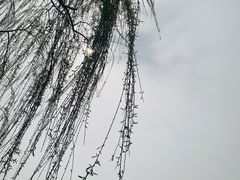 -济南大明湖景区