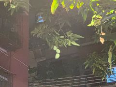 -晓港公园