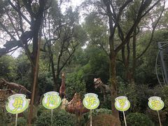 -杭州少年儿童公园
