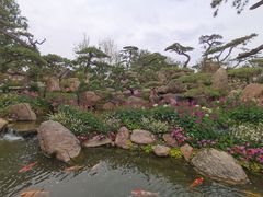 -罗红摄影艺术馆