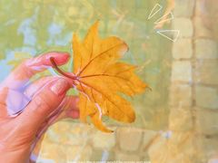 -春晖园度假酒店温泉