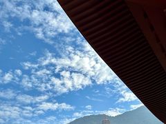 -深圳仙湖植物园