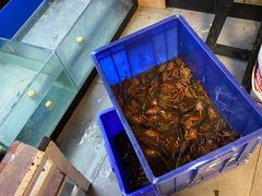 -李东农庄(中南百草园地标店)