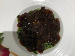 -蝶园·装修中(BFC外滩金融中心店)