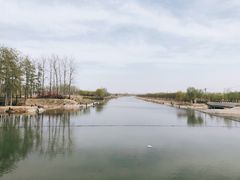 -马家湾湿地公园