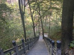 -洛阳白云山景区