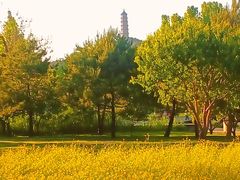 -北坞公园