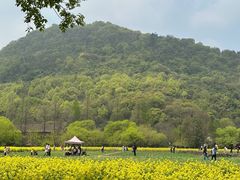 -八卦田遗址公园