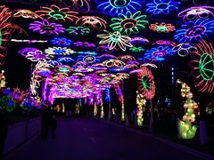 -沈阳奥体冰雪嘉年华