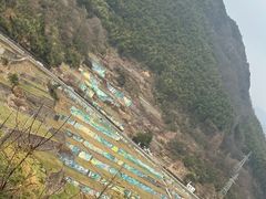 -四明湖