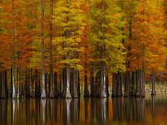 -白鹭湾湿地公园