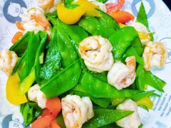 -金贝儿月嫂(高新尚品国际店)