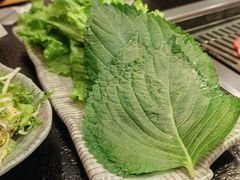 -臻牛烤肉