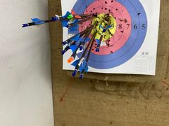 -道顺射箭·团建·骑射(张杨路店)