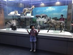 -国家自然博物馆