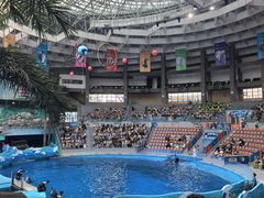 -海合安成都极地海洋公园
