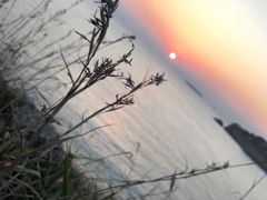 -蒲台岛