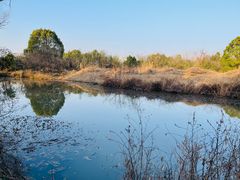 -西溪国家湿地公园