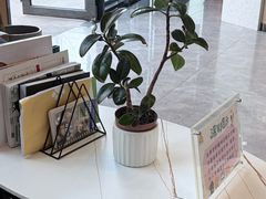 -半岛宠物医院24小时·内窥镜·牙科·碎石中心(府城大道店)