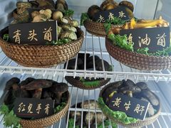 -爱膳菌锅锅(阳南店)