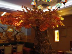 -君邦火锅(新疆大厦店)