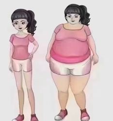 -香薇妮丝女子减肥院
