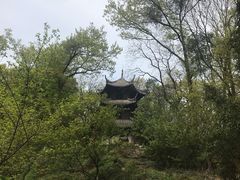 -汪胖子襄阳牛肉面(华丰路店)