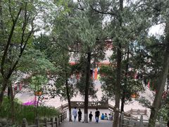 -老君山