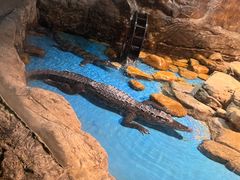 -多彩贵州城极地海洋世界