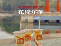 -金砂公园