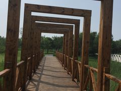 景点-官港森林公园